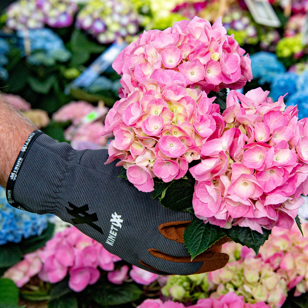Kinetixx Spezielle Garten-Arbeitshandschuhe X-Planter Fabrikpreis
