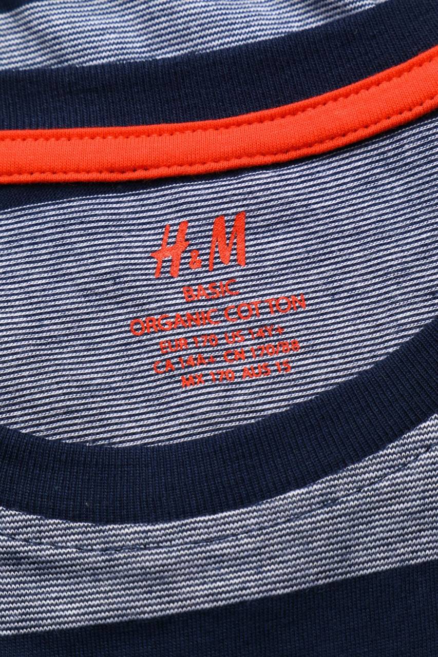 Carou H&M Baumwoll-T-Shirt Nur noch ein Tag übrig