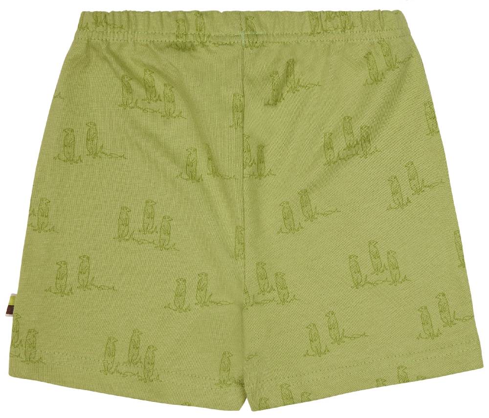 Loud Proud Short Druck Outlet